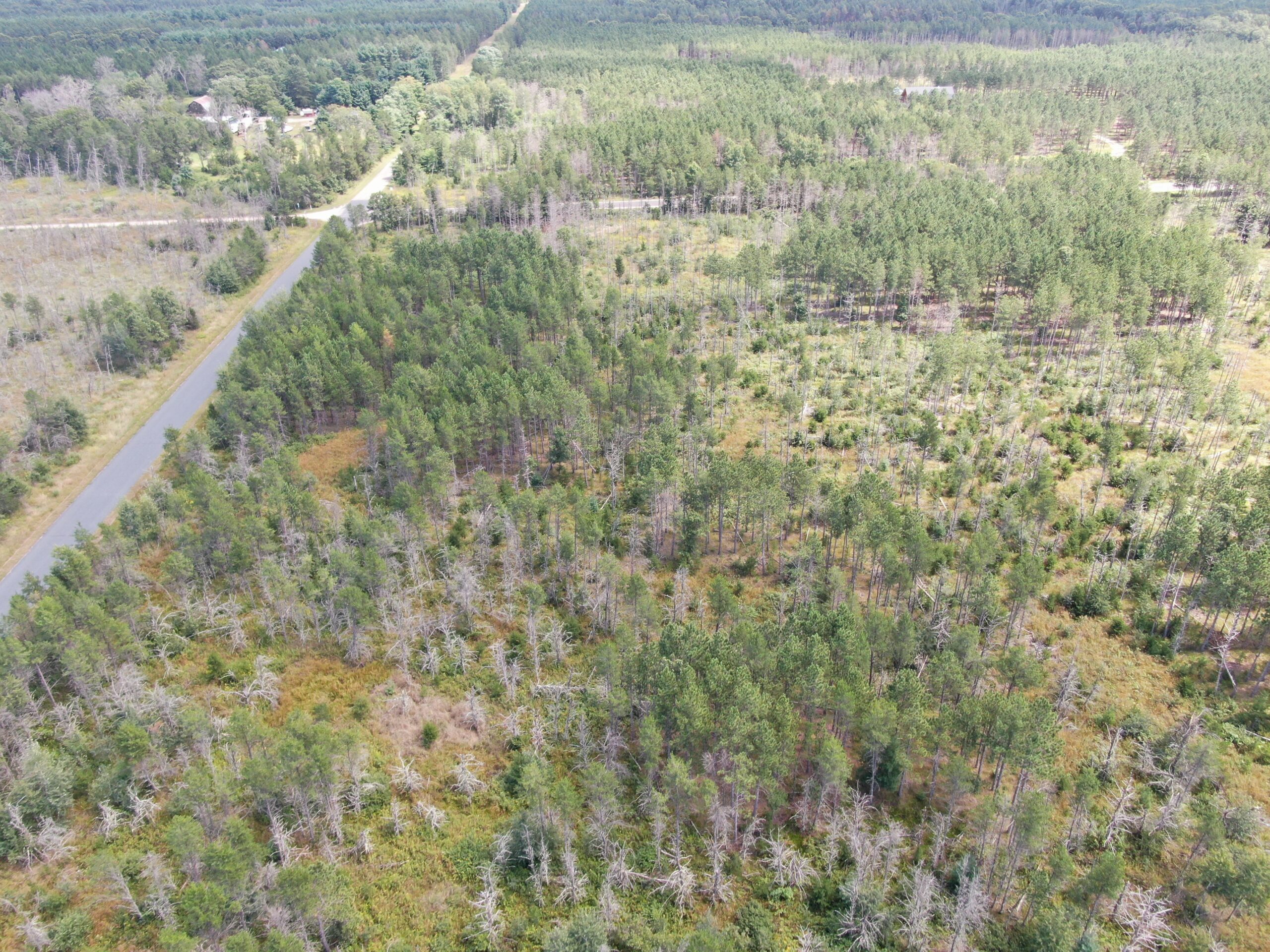 40-acre corner parcel in the Town of Monroe