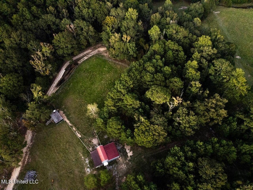 Magnolia Wilds – Premier Louisiana Investment Property for Sale