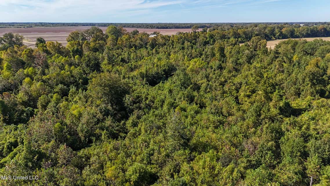Yazoo River Hunting Tract 78.16 Acres