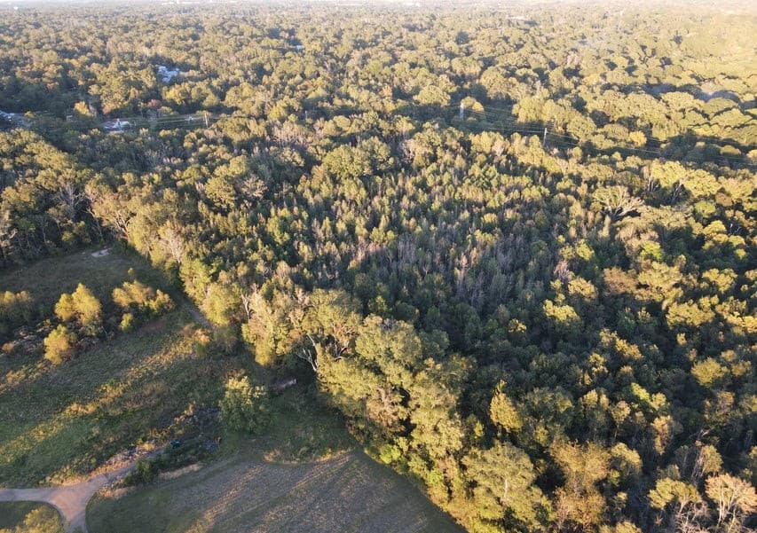 28 Acres for Sale South Jackson, Hinds County, MS