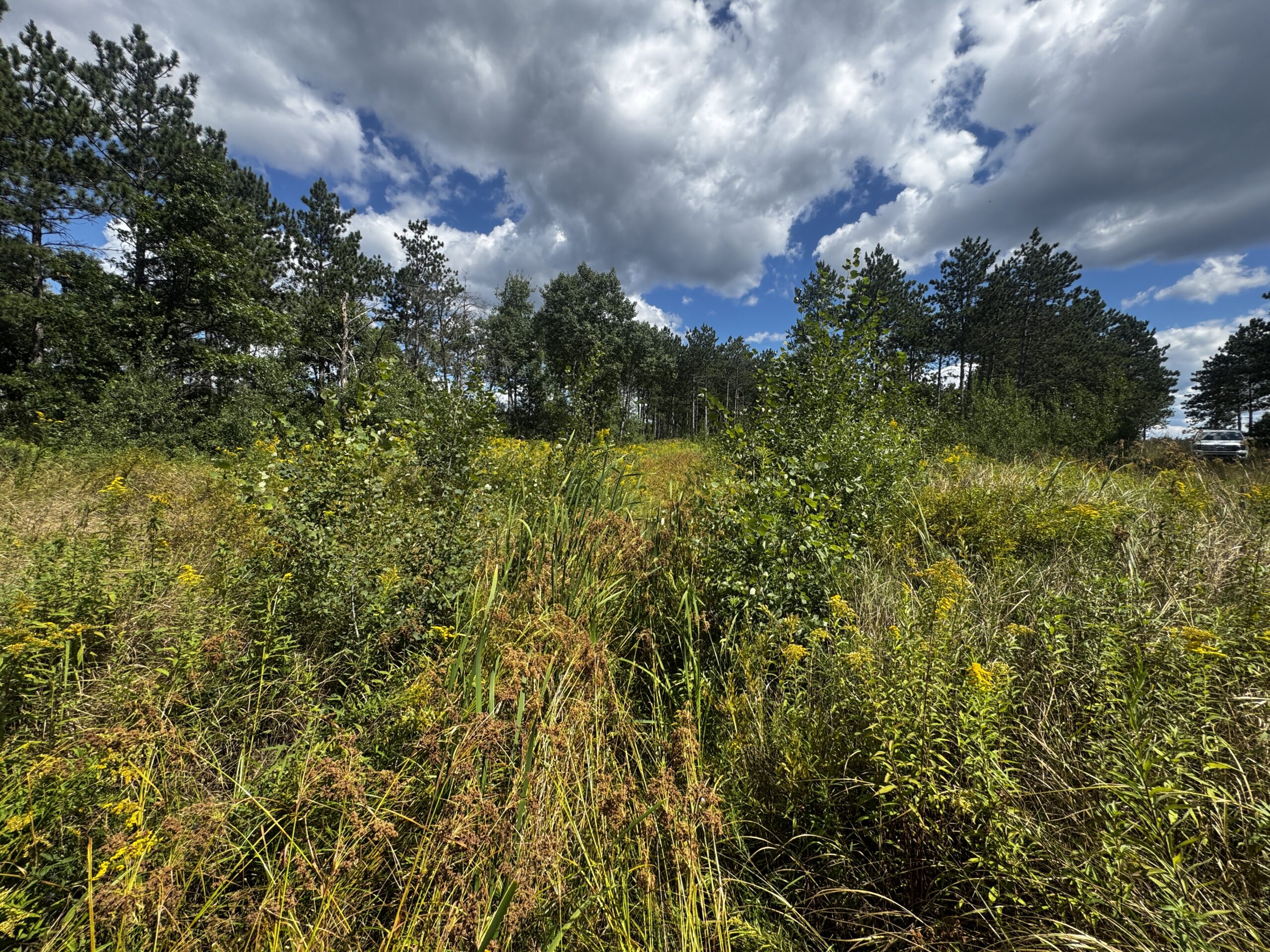 80-acre parcel in the Town of Big Flats