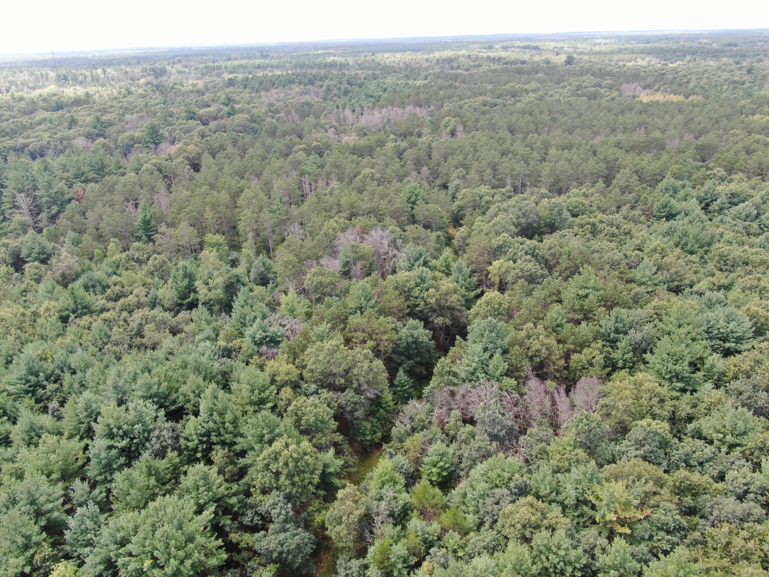 Escape to 80 acres of heavily timbered ground in Adams County