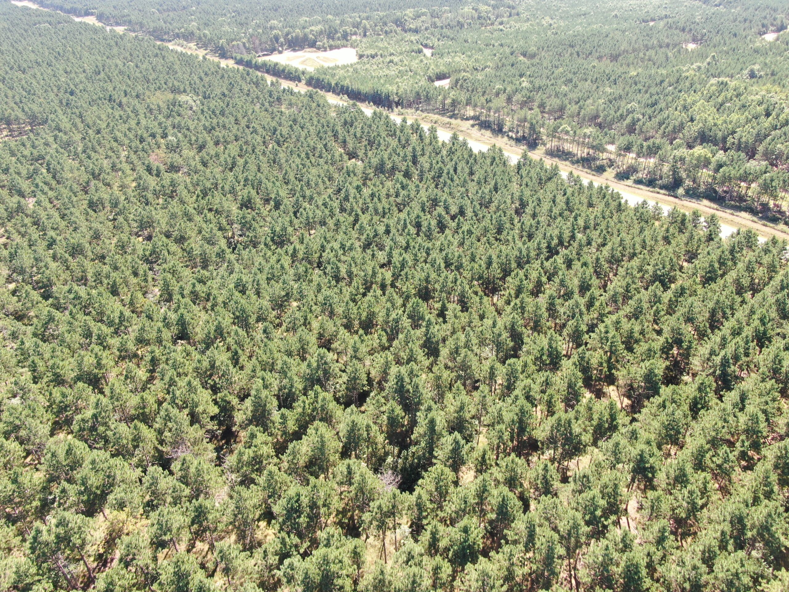 37.77-acre wooded parcel in the Town of Rome