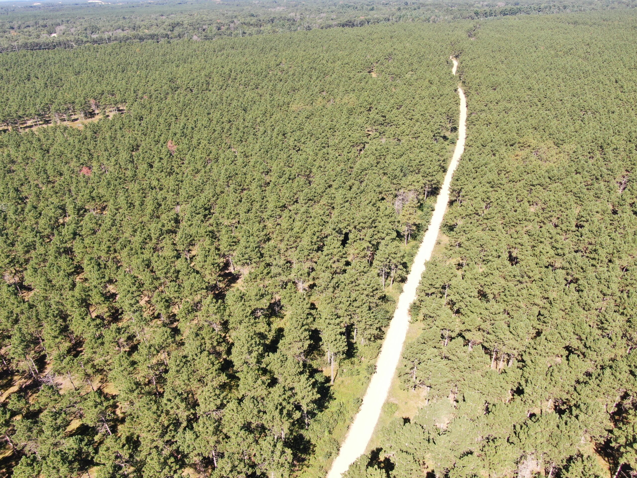 40-acre wooded parcel in the Town of Rome