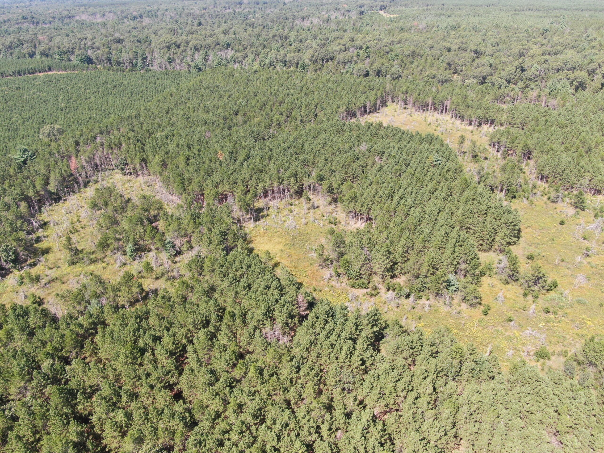 40 acres of recreational land in the Town of Monroe, Adams County
