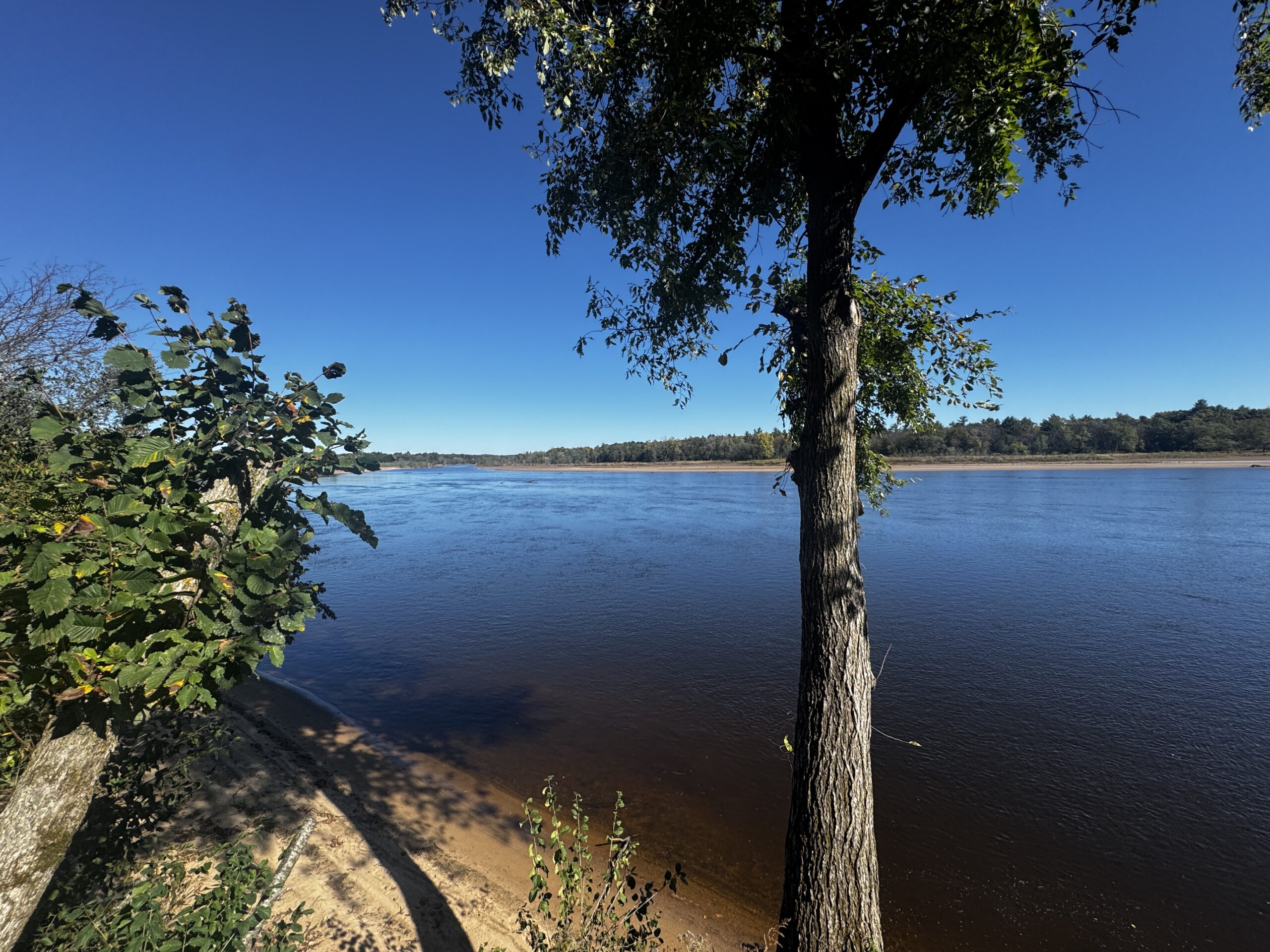 20± acre Sauk County Gem of a Property
