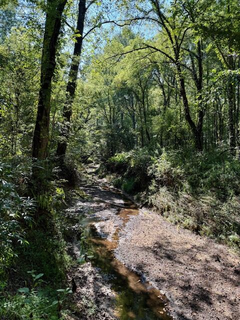 Mississippi Land For Sale With A Creek
