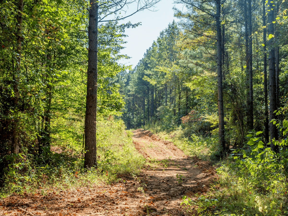 650 Acres Timberland and Lake Site Calhoun County MS