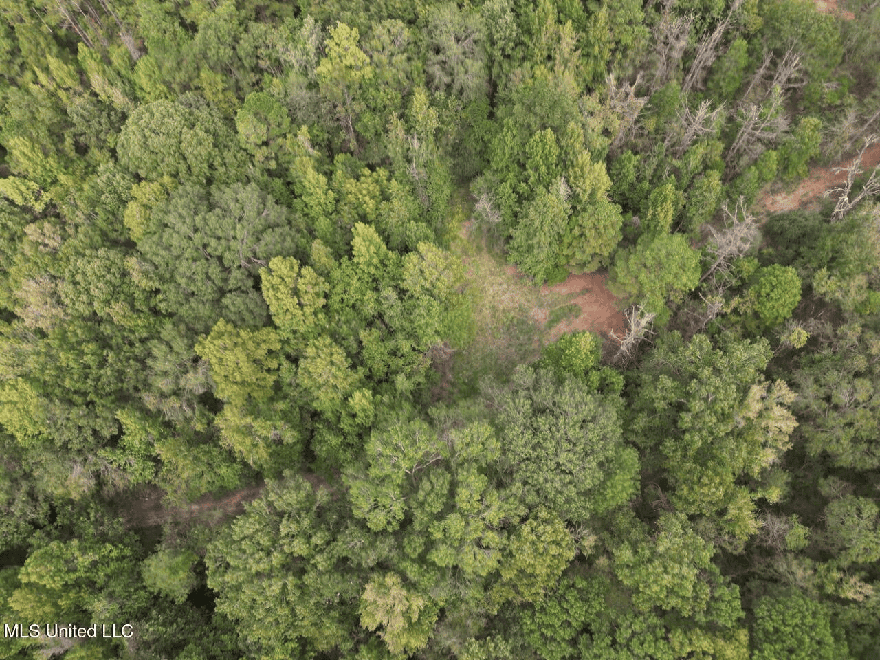 Hunting Land in Claiborne County, MS – The Sawmill 98