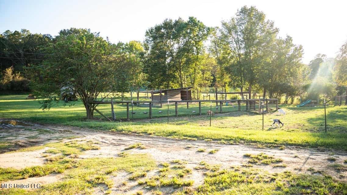 Magnolia Wilds – Premier Louisiana Investment Property for Sale