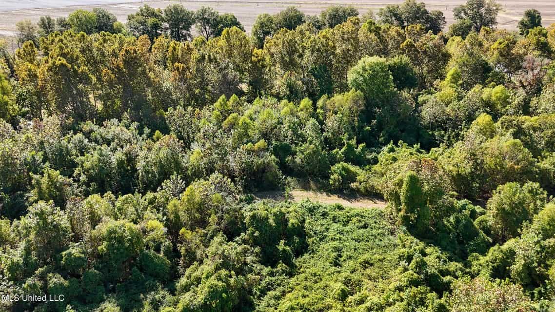 Yazoo River Hunting Tract 78.16 Acres