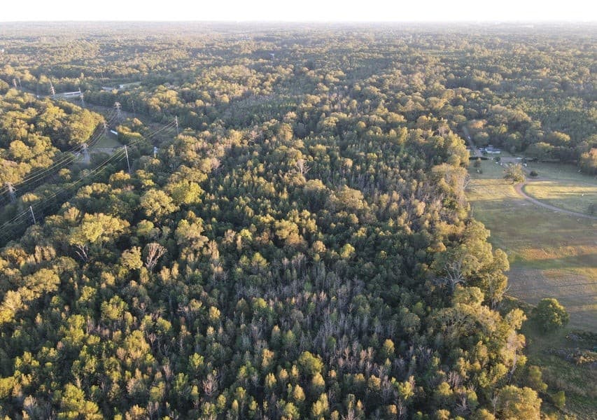 28 Acres for Sale South Jackson, Hinds County, MS