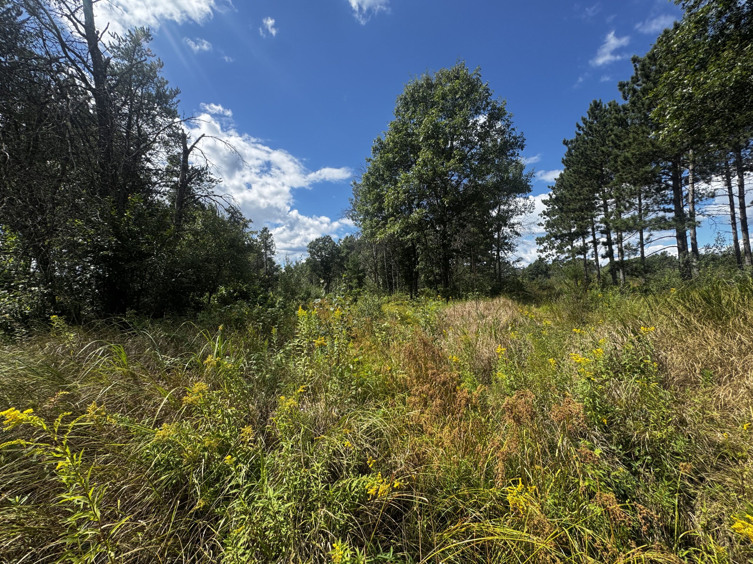 80-acre parcel in the Town of Big Flats