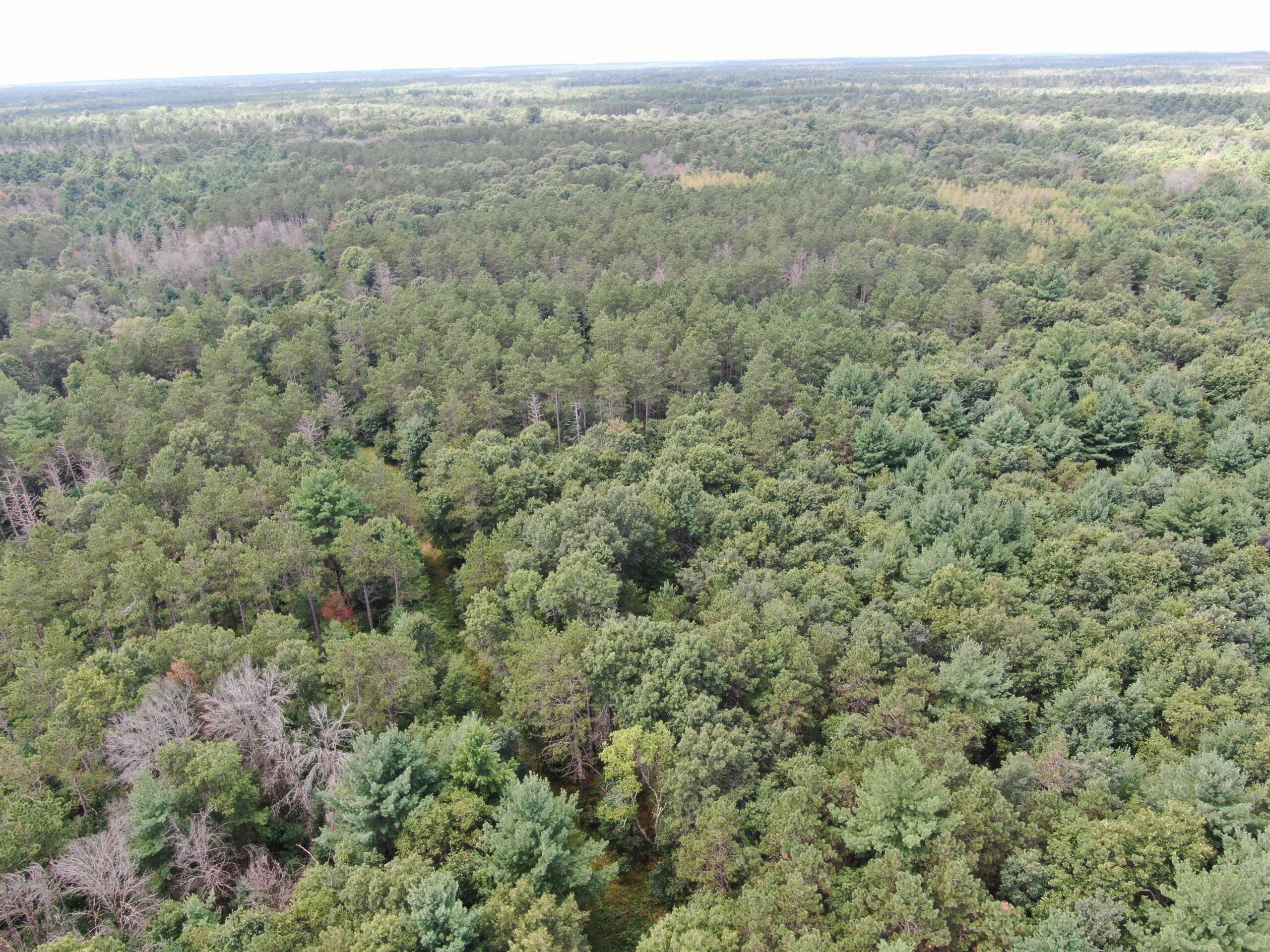 Escape to 80 acres of heavily timbered ground in Adams County