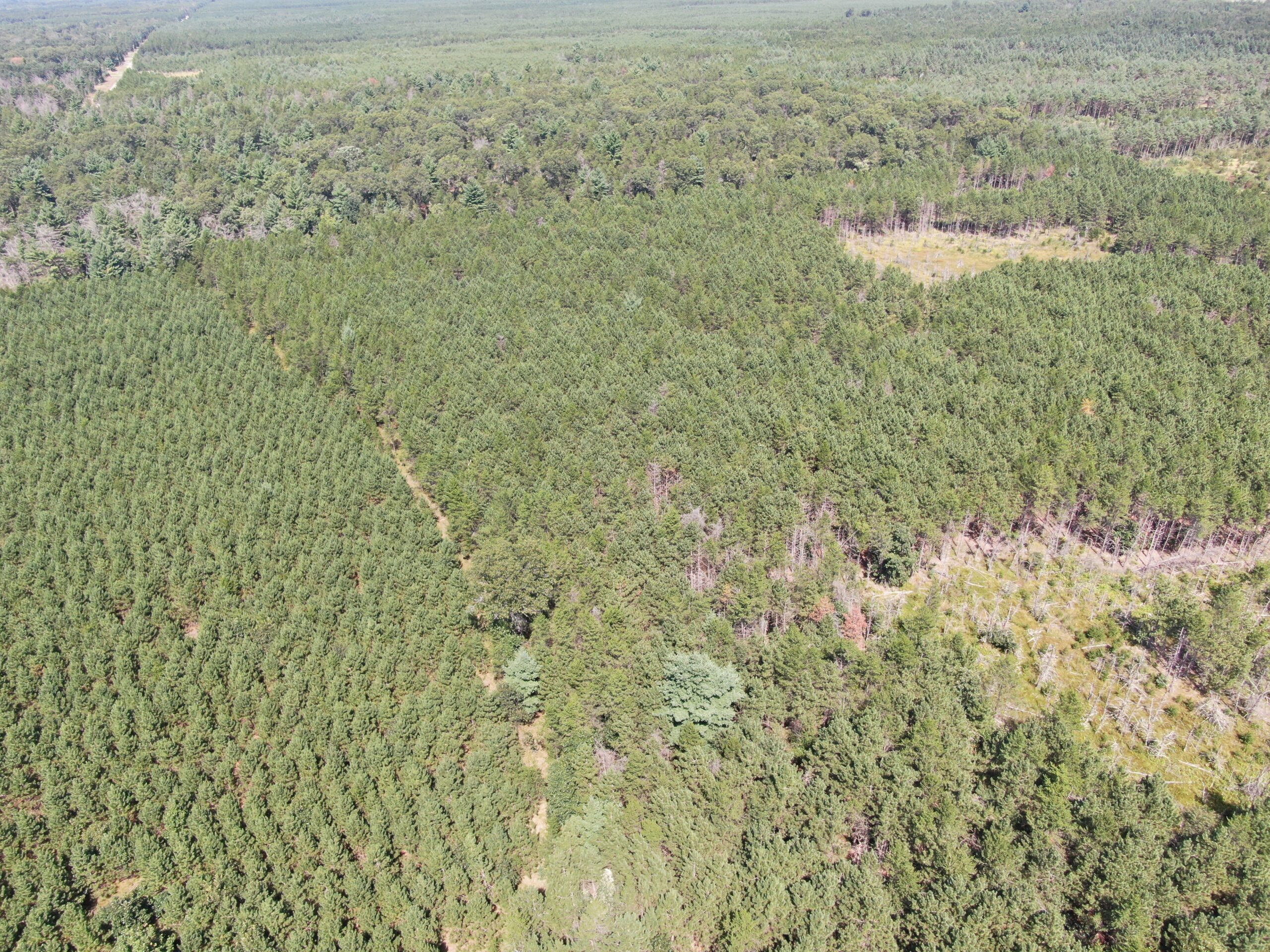 40 acres of recreational land in the Town of Monroe, Adams County