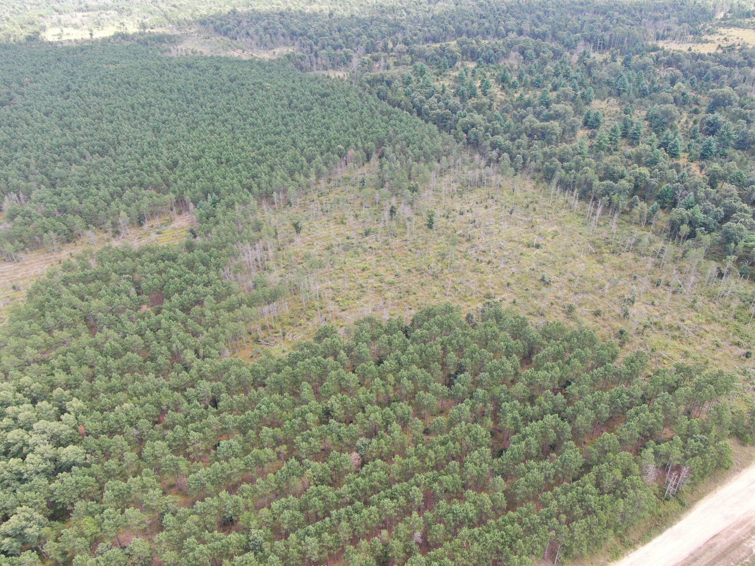 80-acre timber tract in Adams County