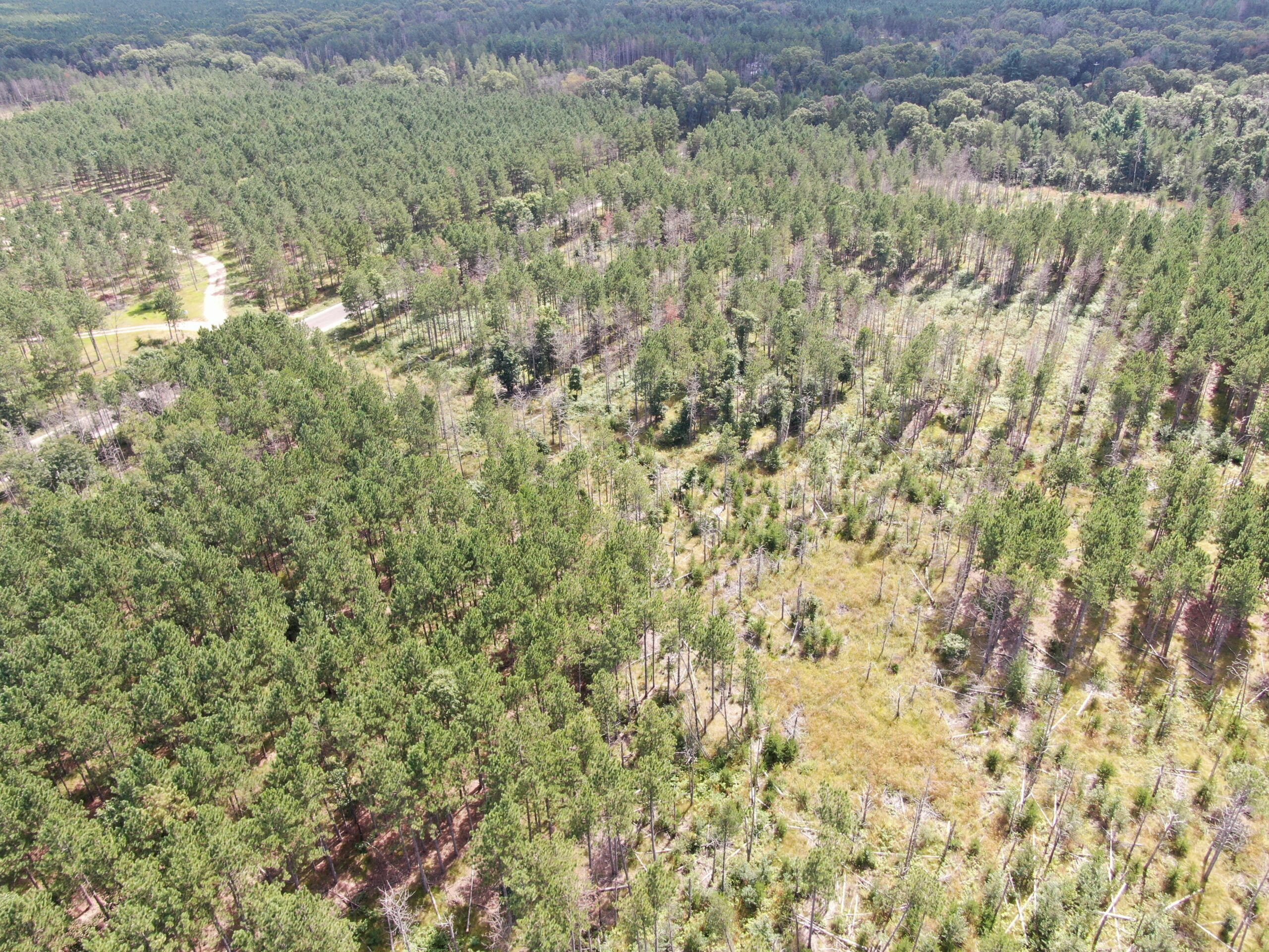 40-acre corner parcel in the Town of Monroe