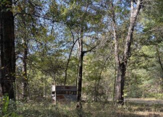 East Texas Hunting Property with Year-Round Creek in Fruitvale