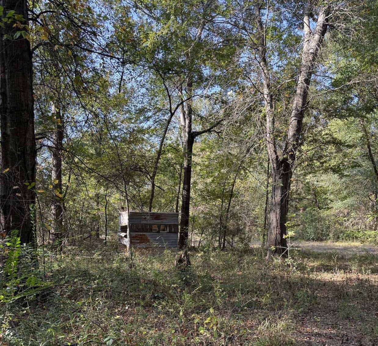 East Texas Hunting Property with Year-Round Creek in Fruitvale