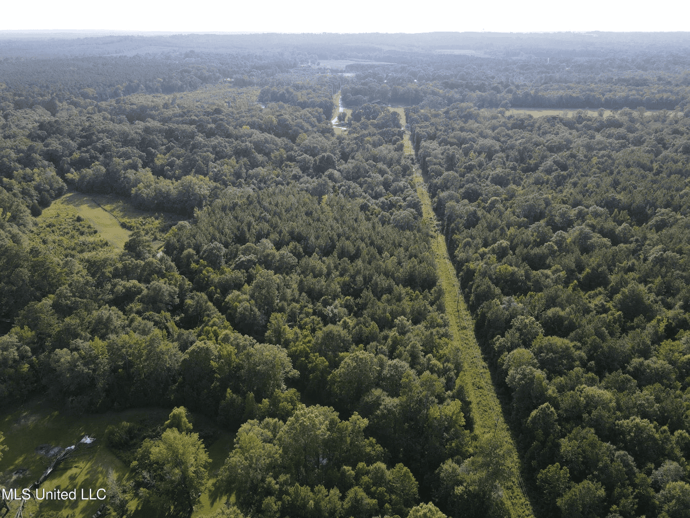 48 Acres for Sale in Jones County, MS Ellisvillle, MS