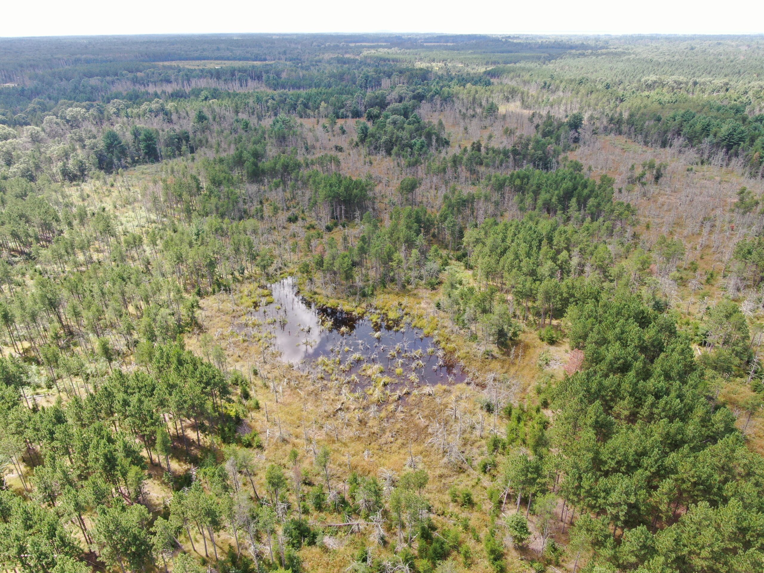 40-acre corner parcel in the Town of Monroe