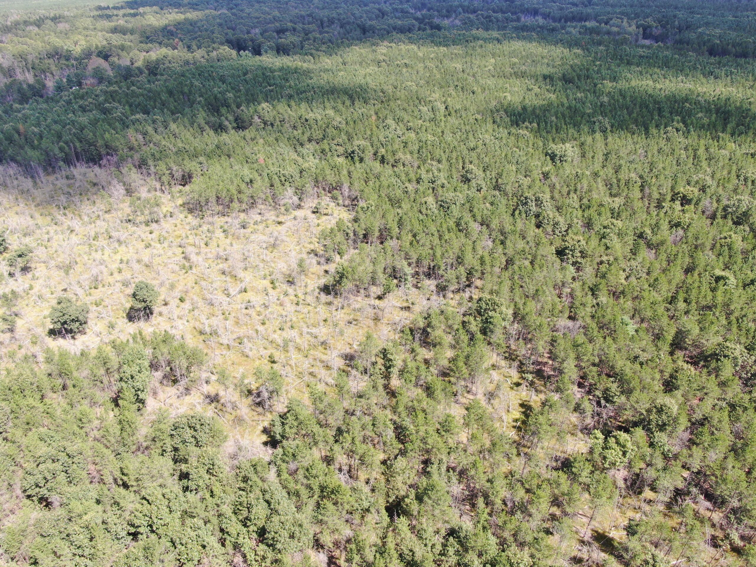 40-acre corner parcel in the Town of Big Flats, Adams County