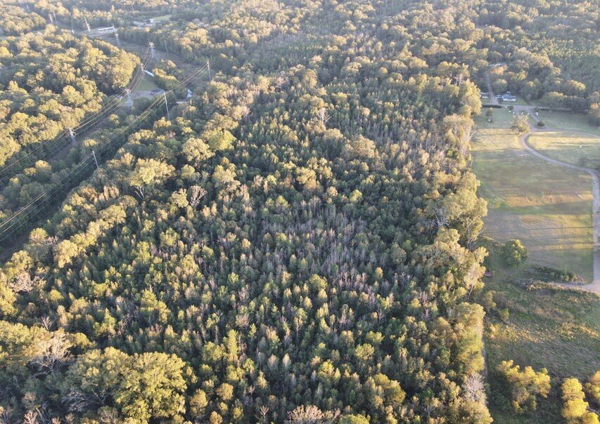 28 Acres for Sale South Jackson, Hinds County, MS