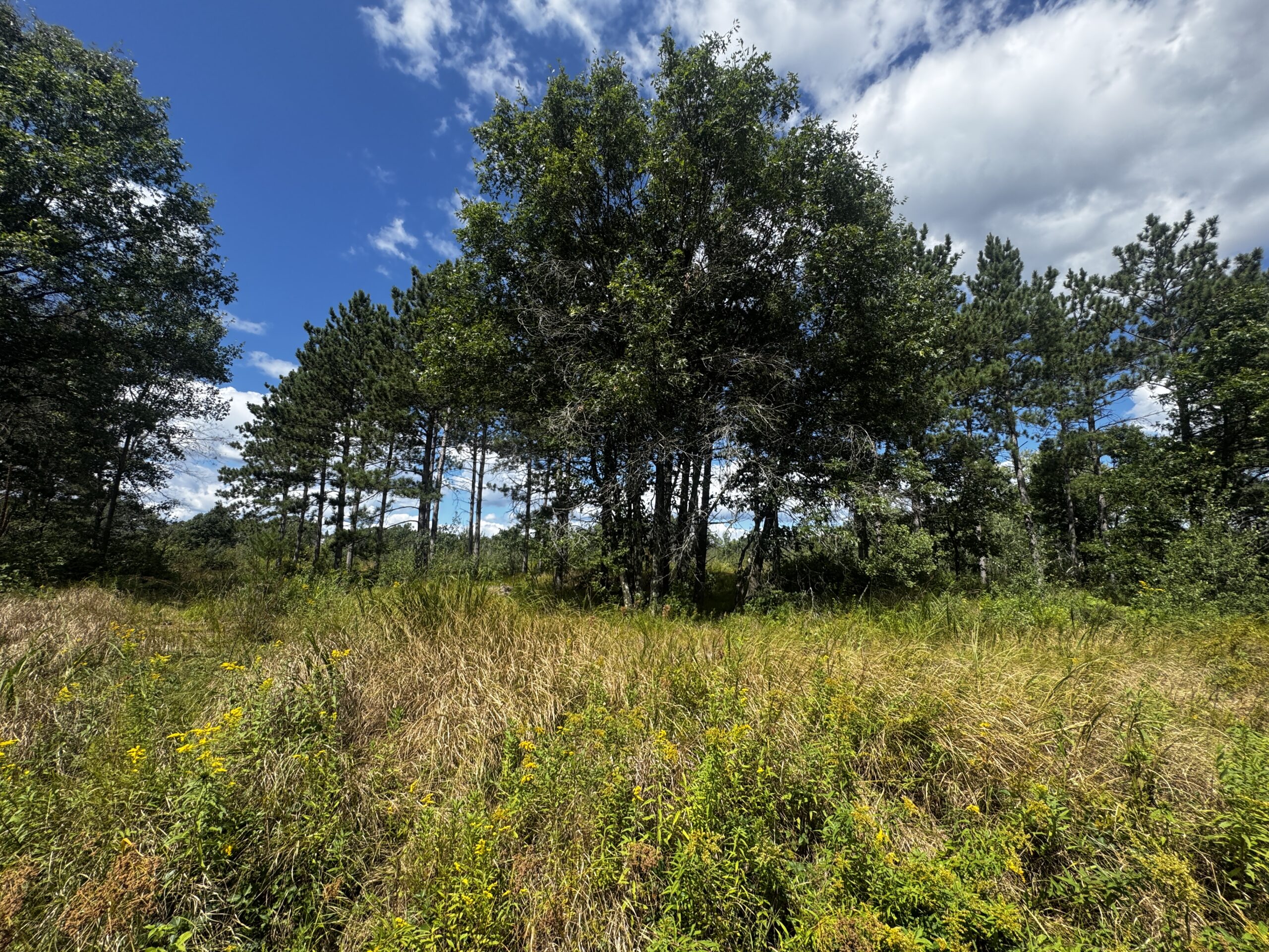 80-acre parcel in the Town of Big Flats