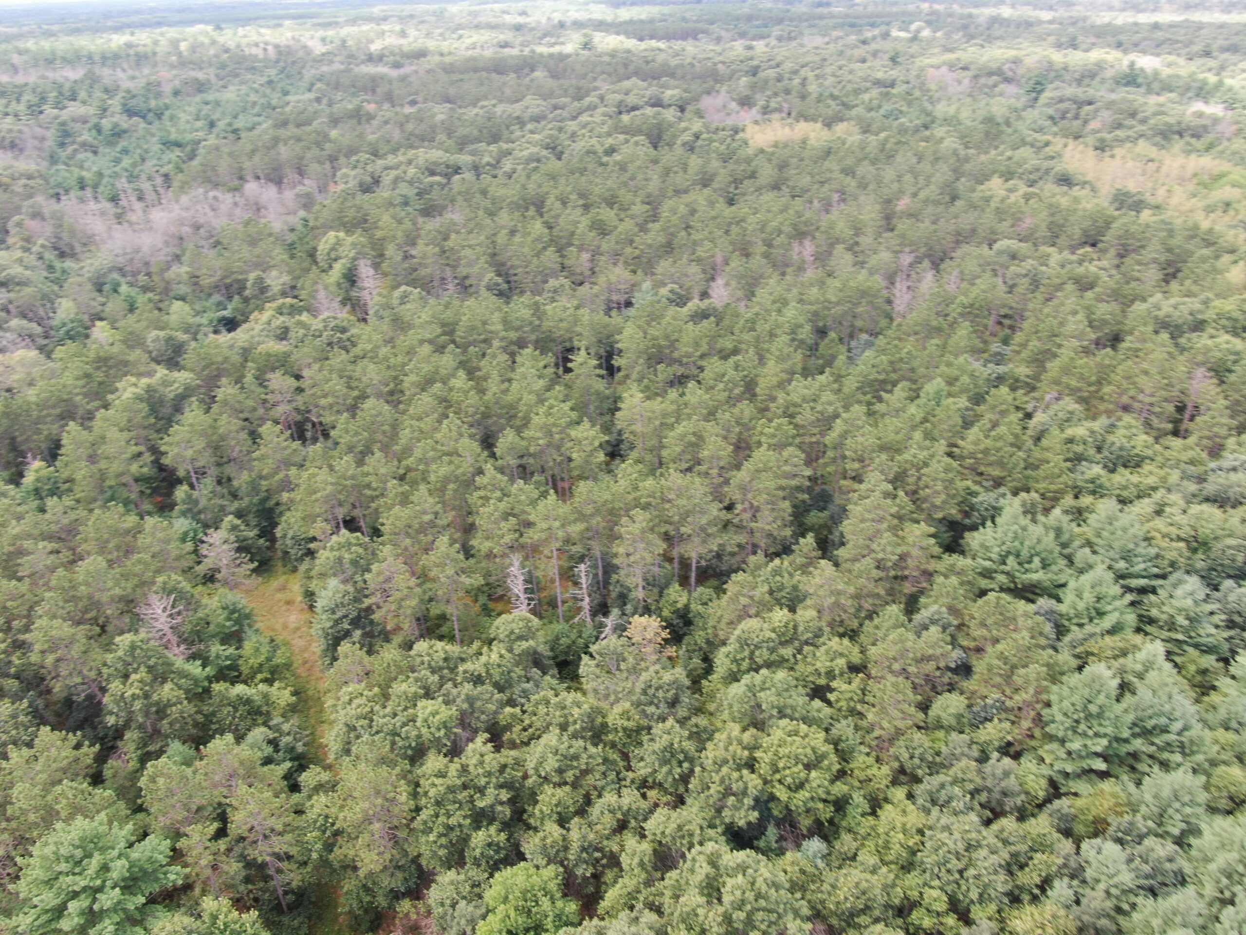 Escape to 80 acres of heavily timbered ground in Adams County