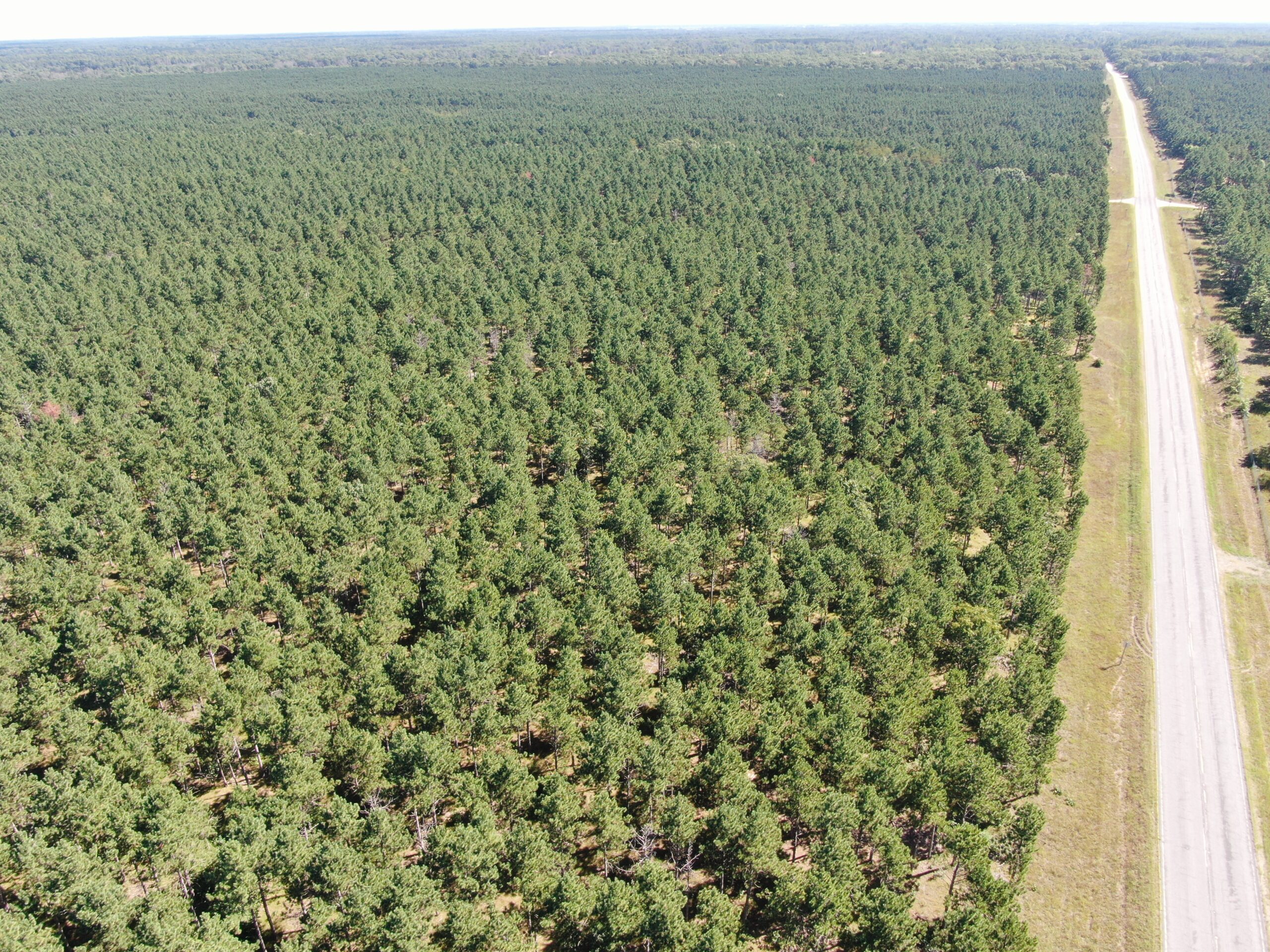 40-acre wooded parcel in the Town of Rome