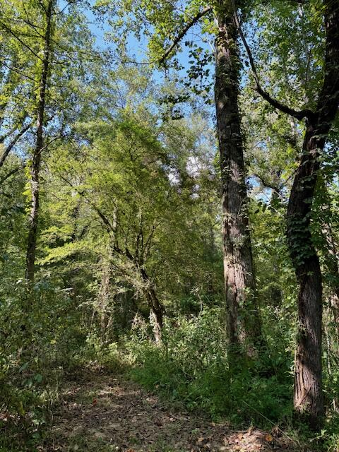 Mississippi Land For Sale With A Creek