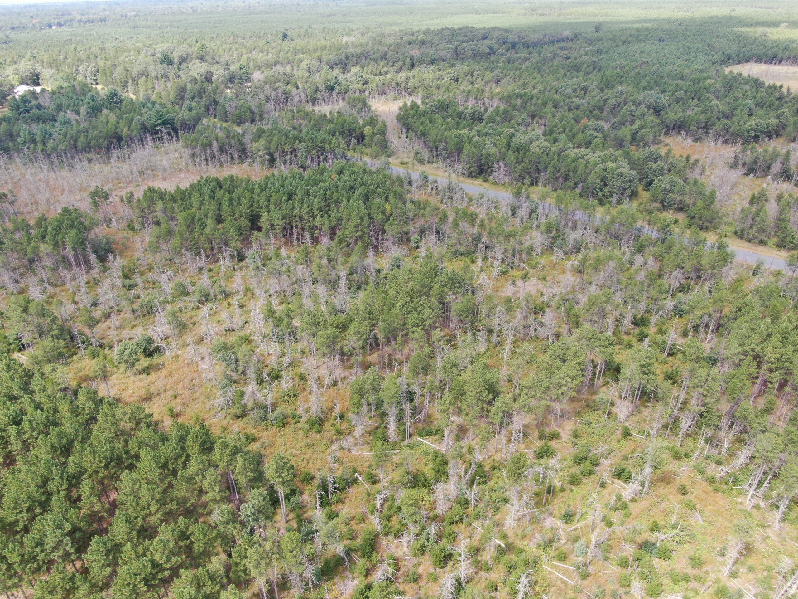 40-acre corner parcel in the Town of Monroe