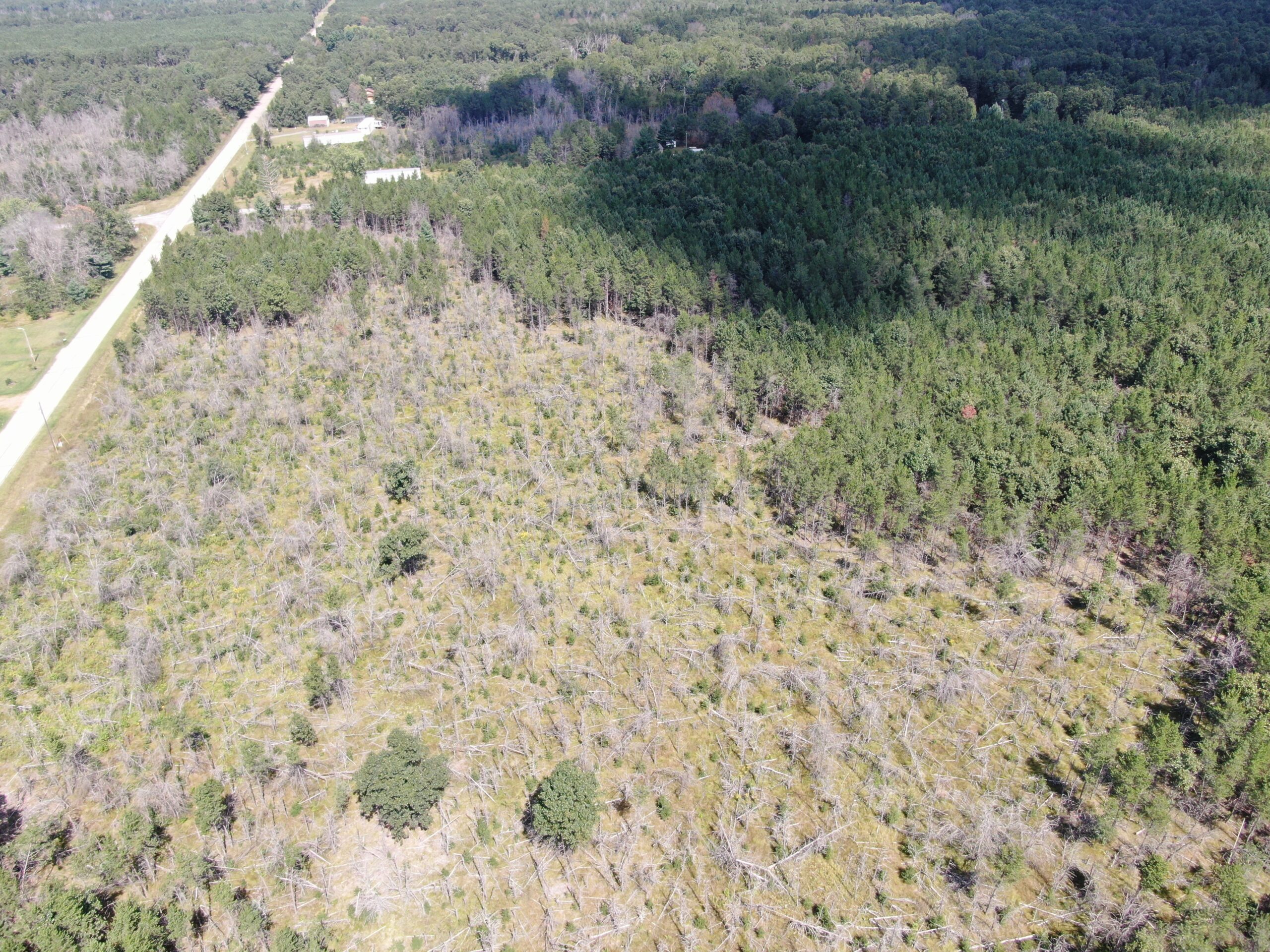 40-acre corner parcel in the Town of Big Flats, Adams County