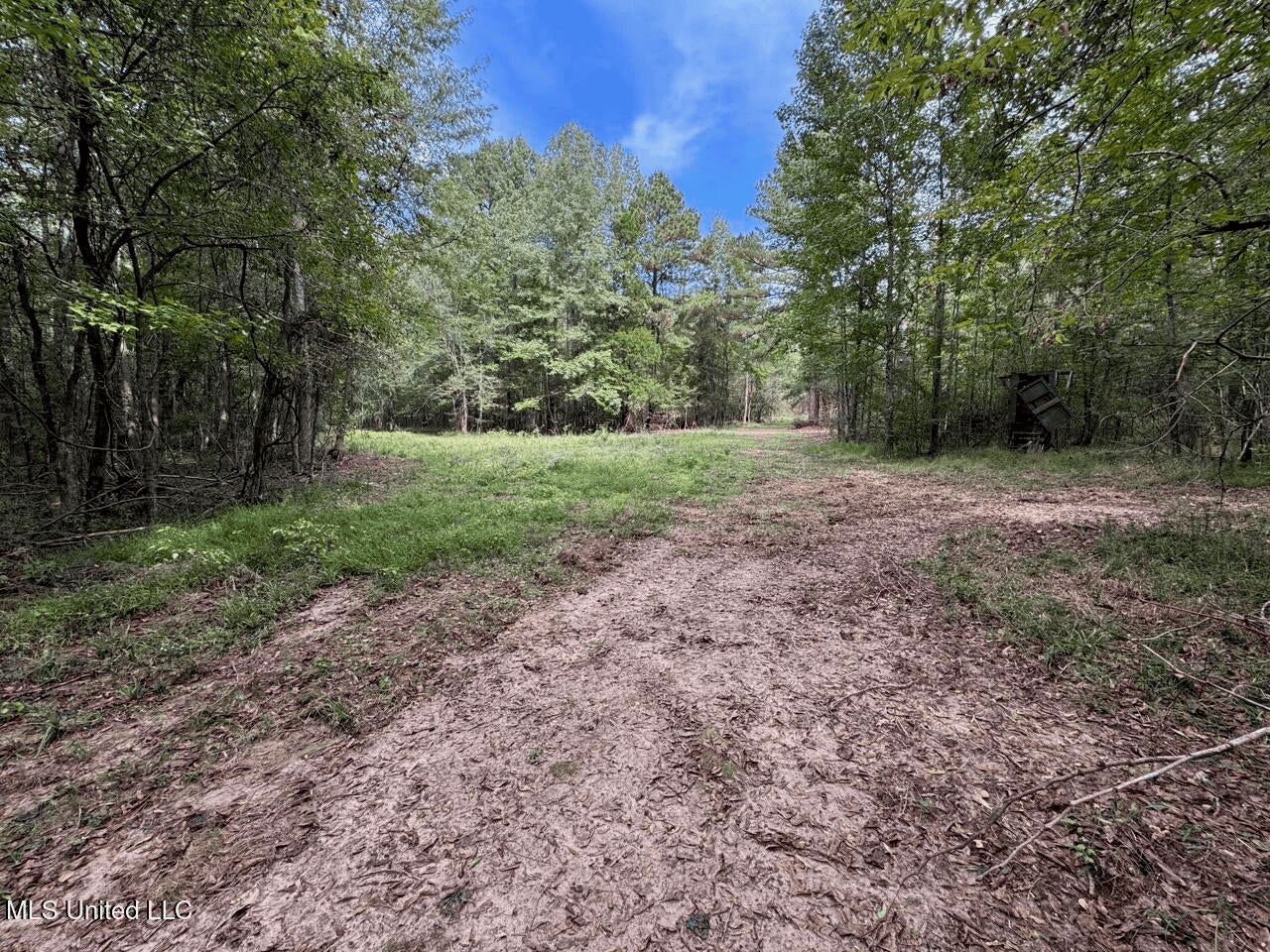 Hunting Land in Claiborne County, MS – The Sawmill 98