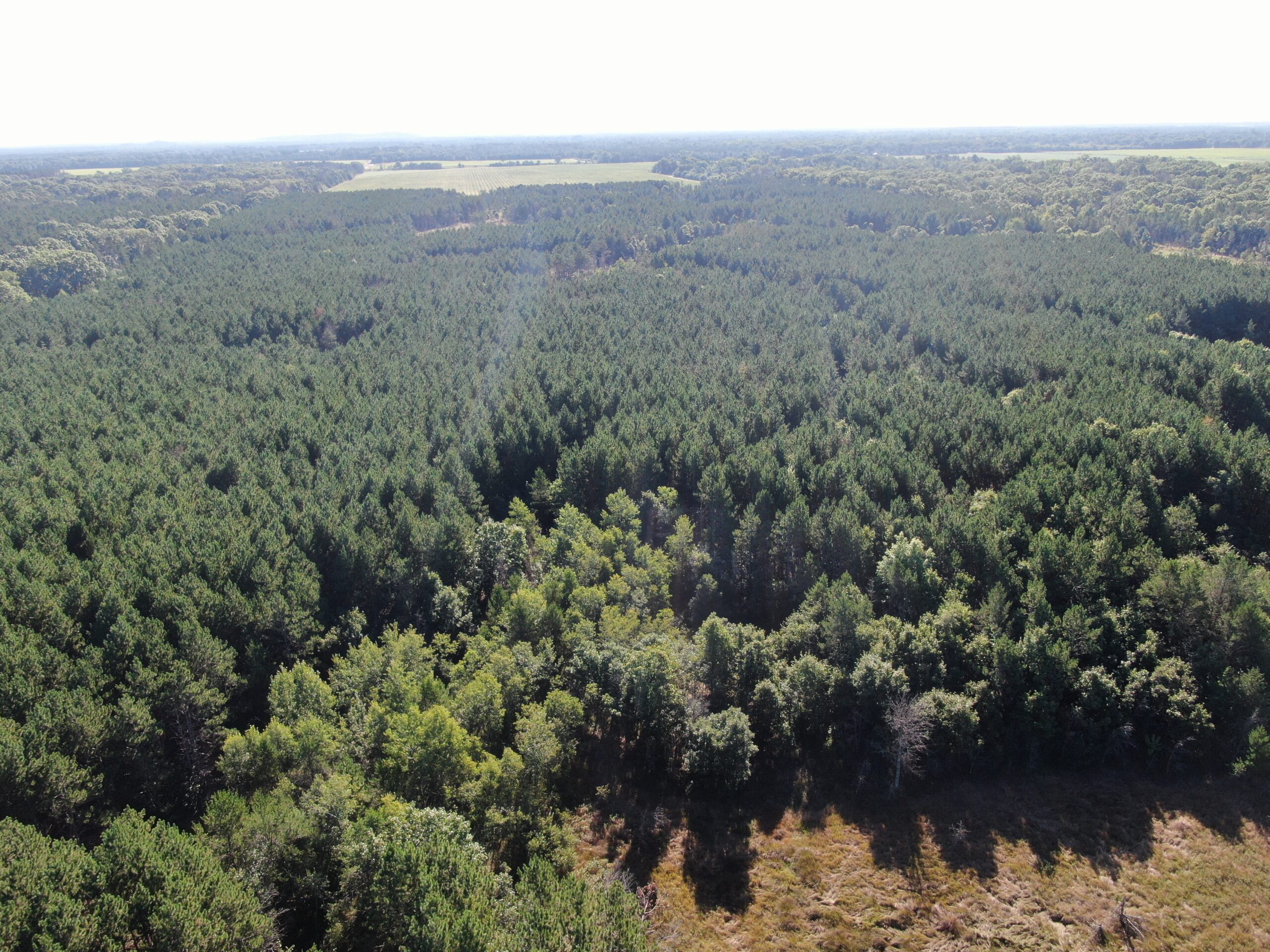 80-acre timber tract in Adams County