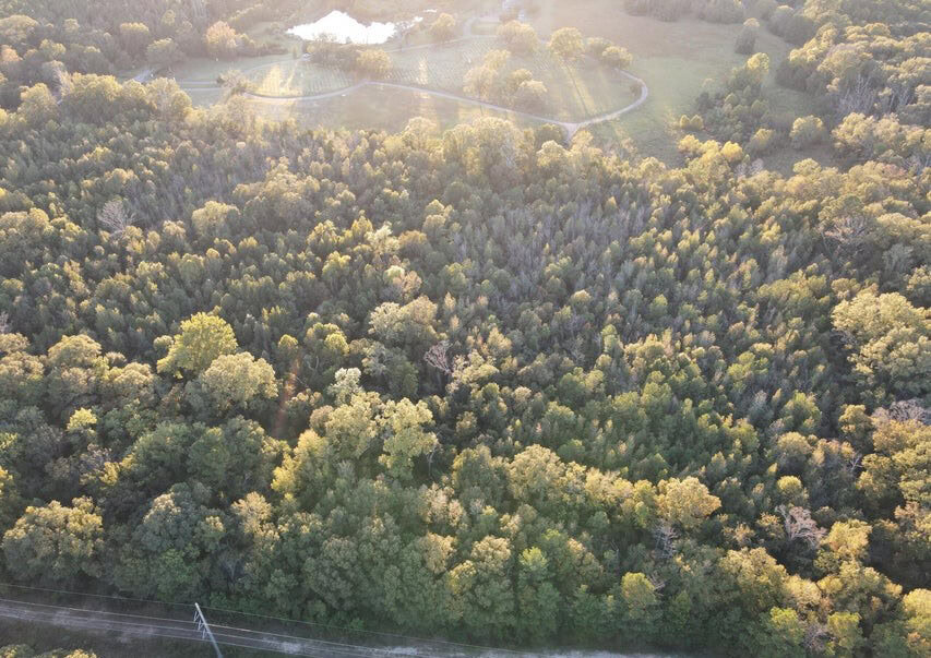 28 Acres for Sale South Jackson, Hinds County, MS