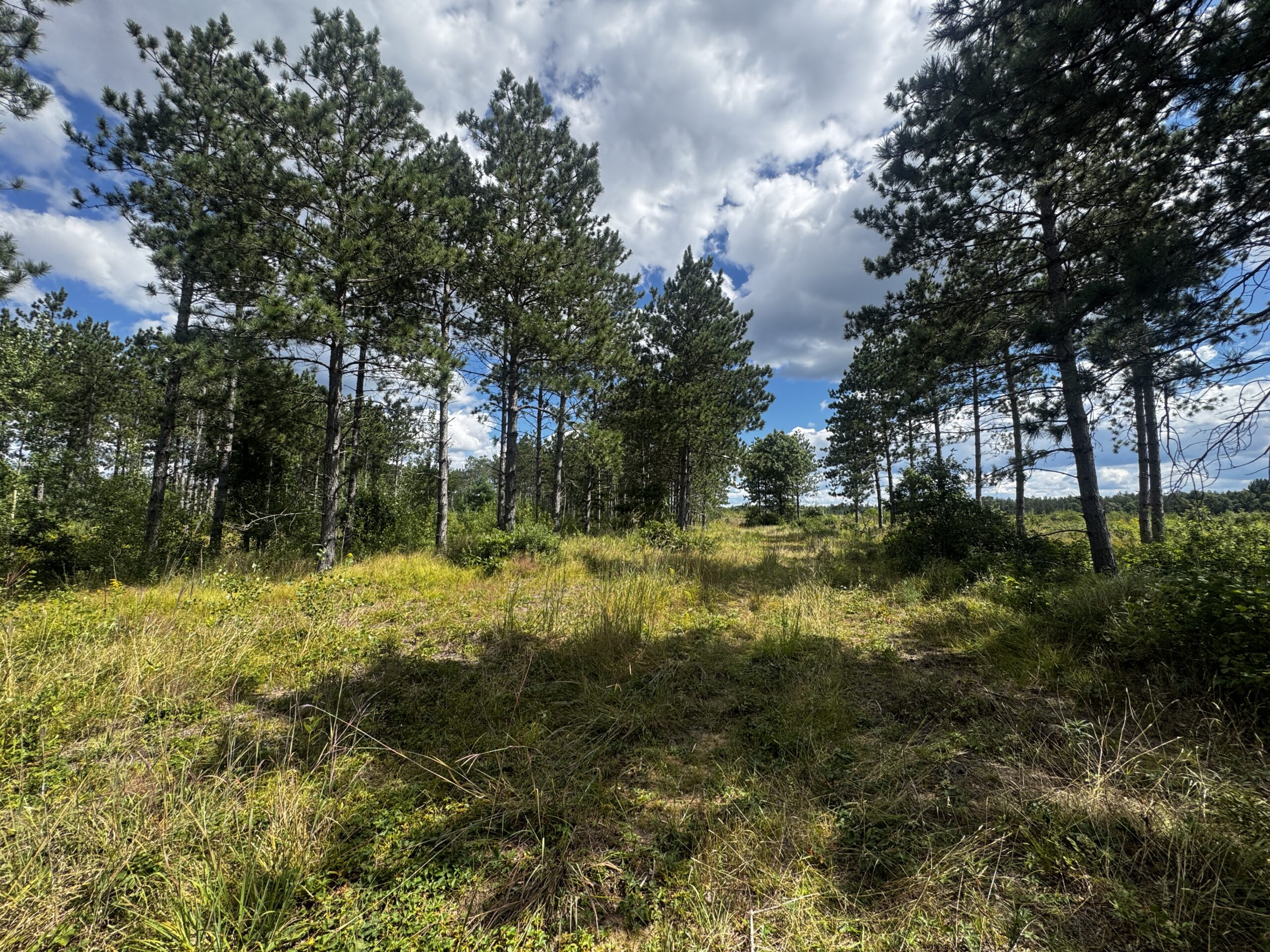 80-acre parcel in the Town of Big Flats