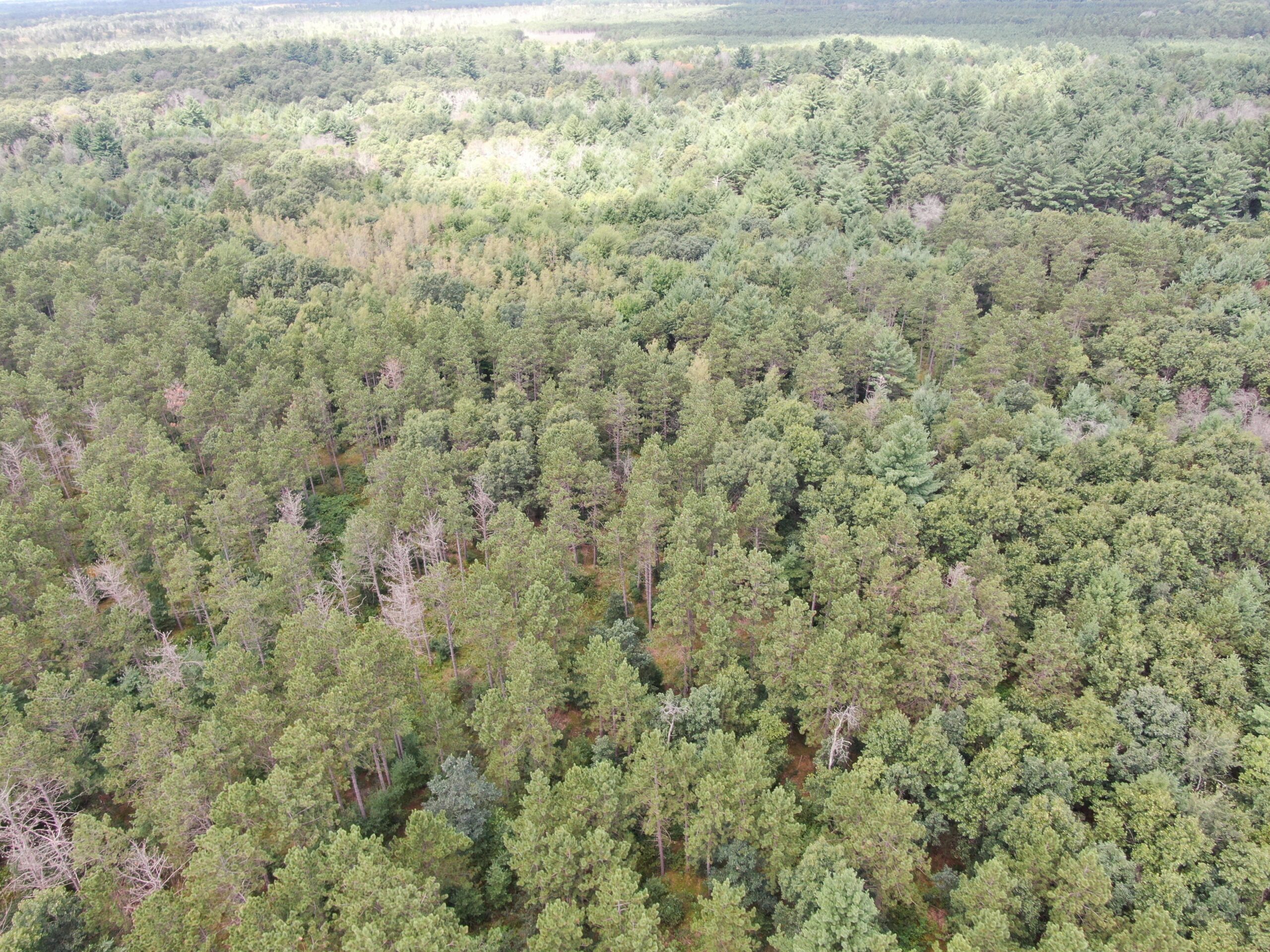 Escape to 80 acres of heavily timbered ground in Adams County