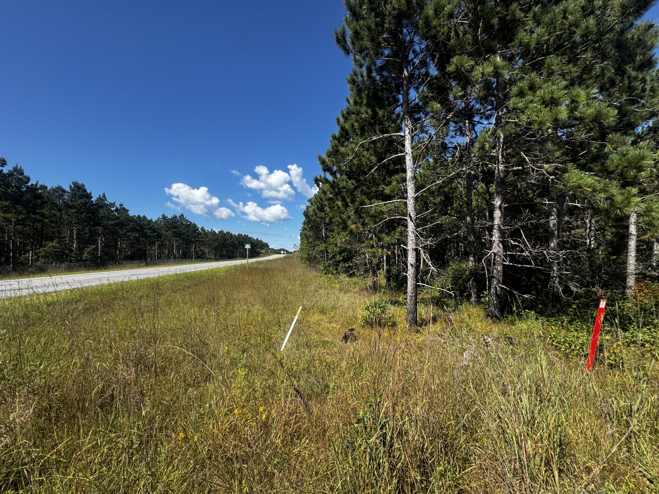 40-acre wooded parcel in the Town of Rome