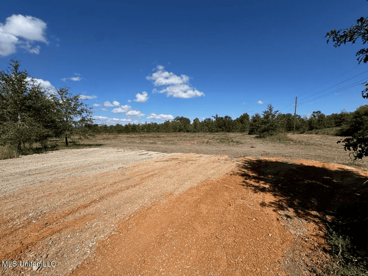 Tensas Parish Land Near Lake St. John – 80 Acres