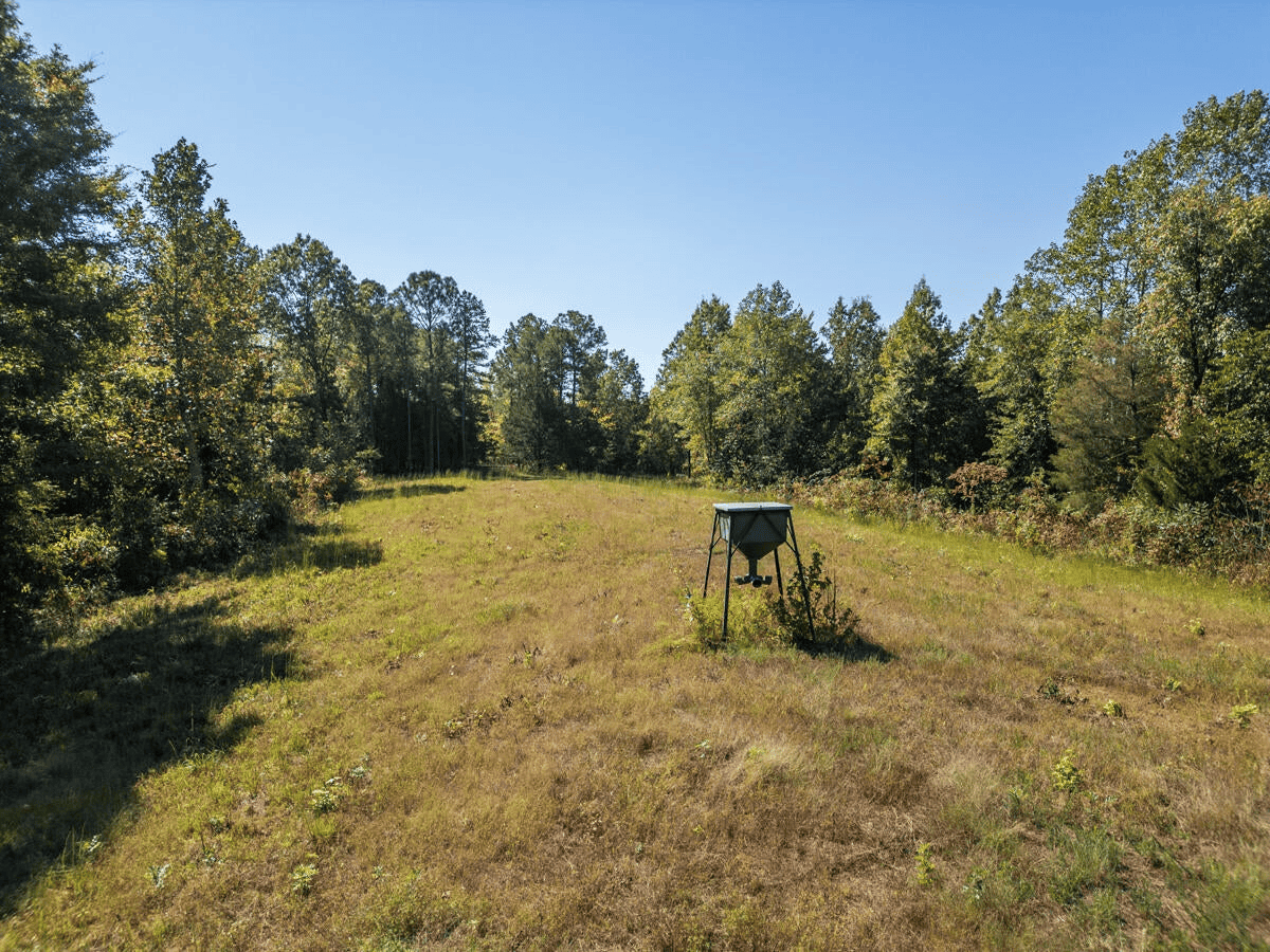 650 Acres Timberland and Lake Site Calhoun County MS