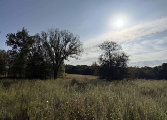 East Texas Hunting Property with Year-Round Creek in Fruitvale
