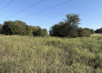 East Texas Hunting Property with Year-Round Creek in Fruitvale