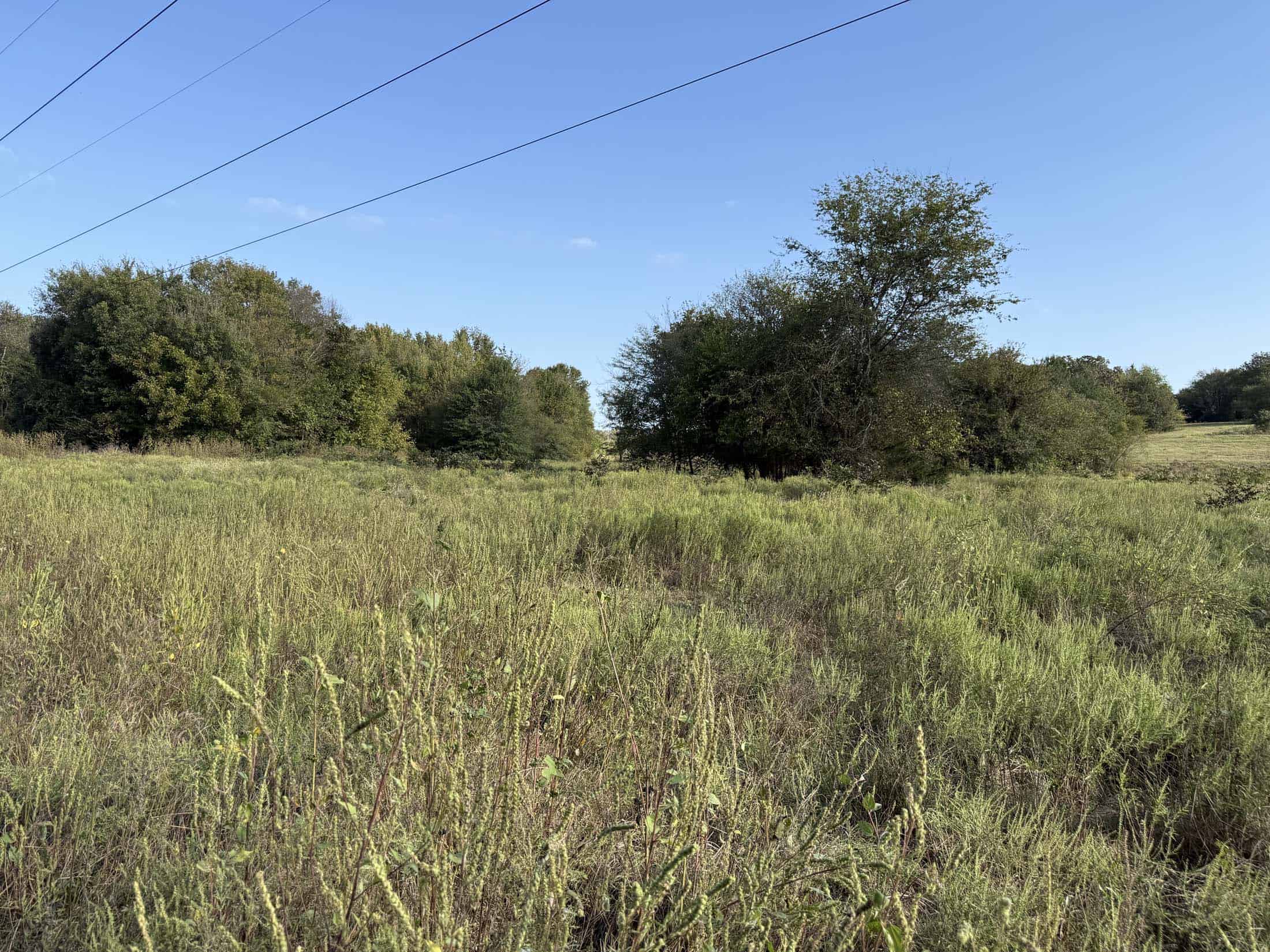 East Texas Hunting Property with Year-Round Creek in Fruitvale