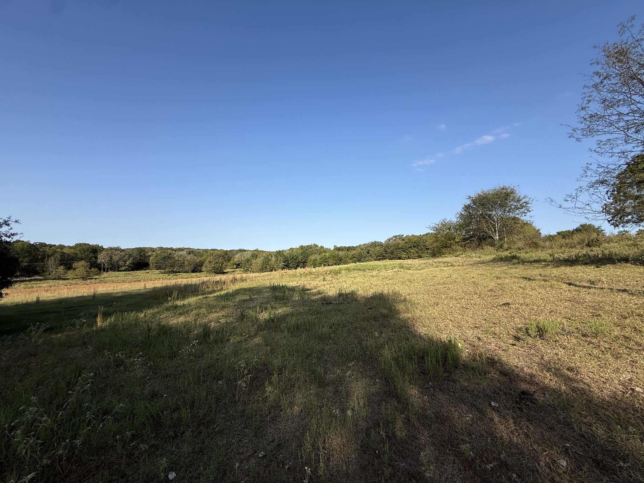 East Texas Hunting Property with Year-Round Creek in Fruitvale