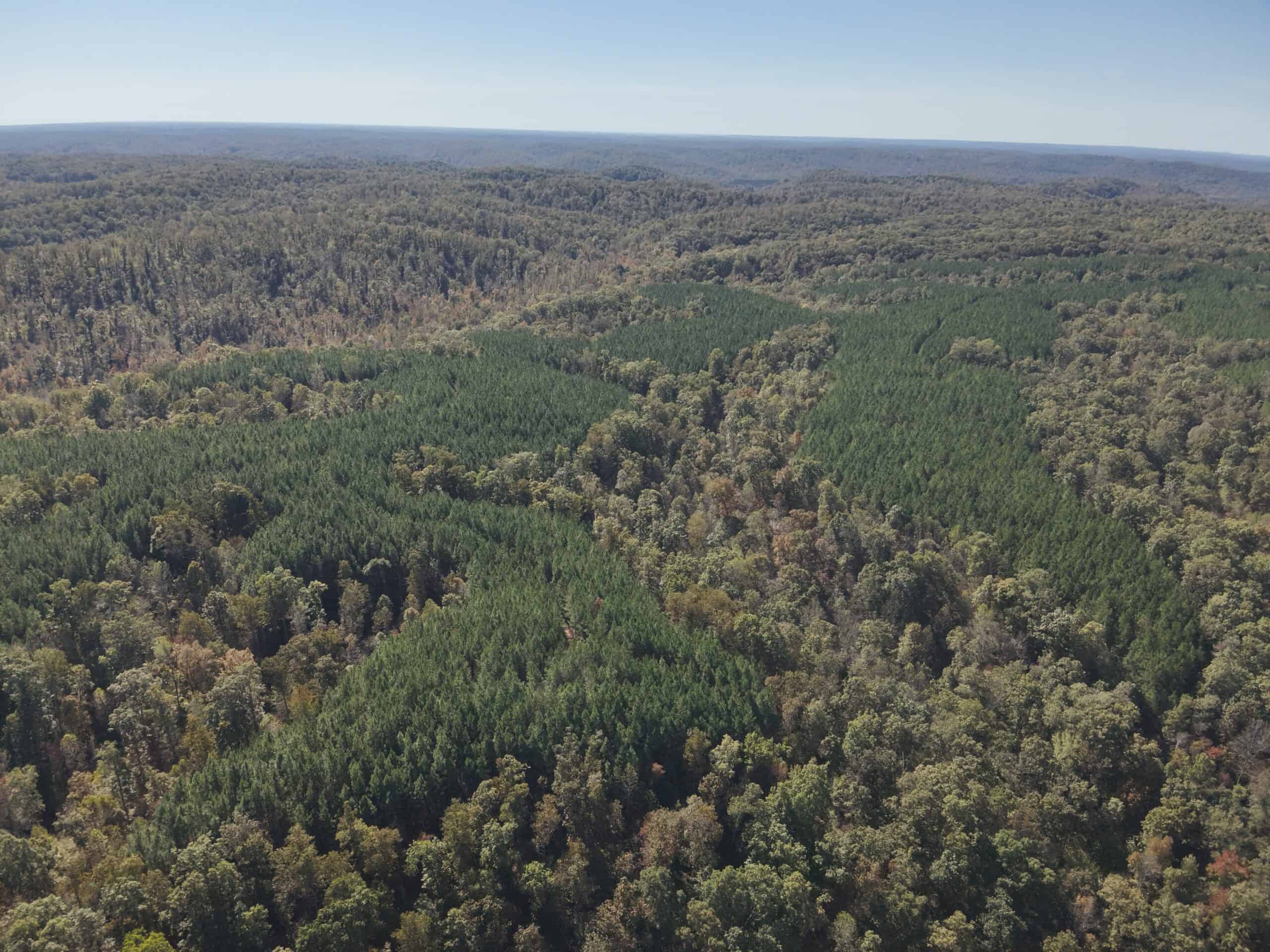 79.49 Acres Hunting and Timberland For Sale in Linden, TN