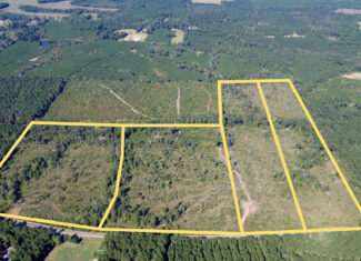 Affordable Lincoln Parish Land for Sale – Tract 4