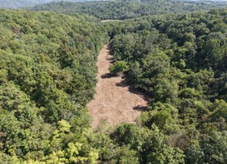 HUNTING AND RECREATIONAL LAND FOR SALE IN ARKANSAS