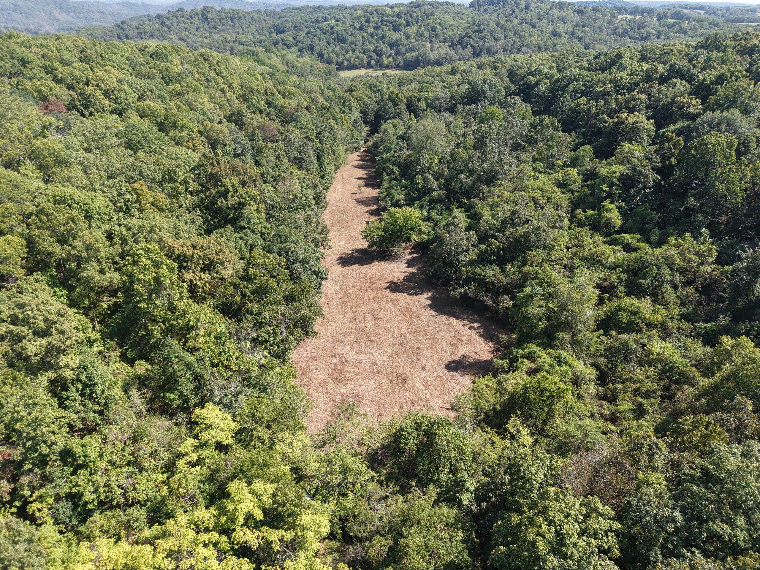 HUNTING AND RECREATIONAL LAND FOR SALE IN ARKANSAS