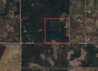 40-acre timber tract in Adams County